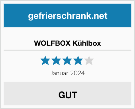  WOLFBOX Kühlbox Test